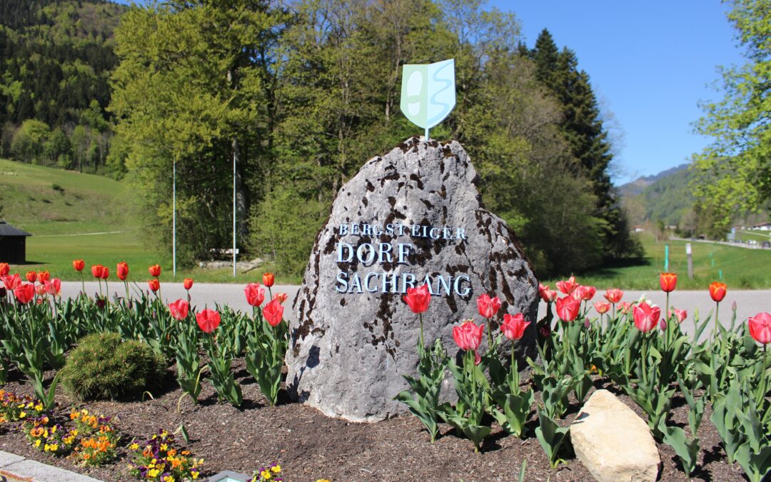 Gemütliches Feriendomitzil in Sachrang