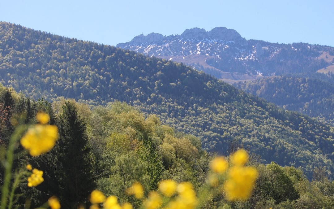 Sonniges Baugrundstück mit Blick zur Kampenwand